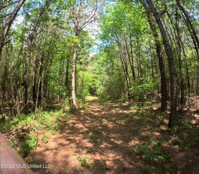 255+/- Acres | Hunting & Recreation Tract | Braxton, MS If - photo 22