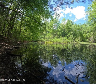255+/- Acres | Hunting & Recreation Tract | Braxton, MS If - photo 23