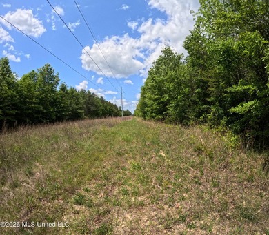 255+/- Acres | Hunting & Recreation Tract | Braxton, MS If - photo 28