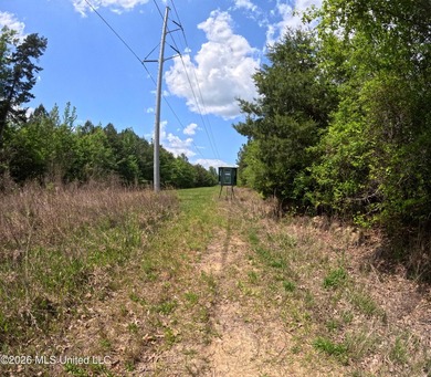 255+/- Acres | Hunting & Recreation Tract | Braxton, MS If - photo 29