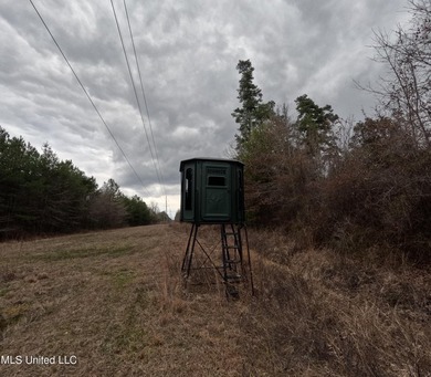 255+/- Acres | Hunting & Recreation Tract | Braxton, MS If - photo 32