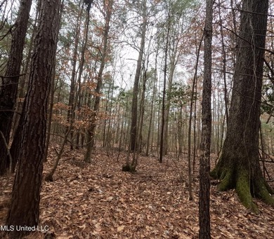 255+/- Acres | Hunting & Recreation Tract | Braxton, MS If - photo 33