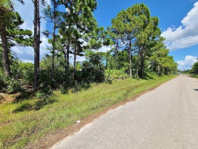 fantastic location inside Gulf Cove! Buyer is responsible for - photo 4
