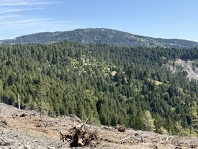 Escape to your own sanctuary on 330 acres of timberland (4.5MBF - photo 1