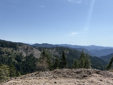 Escape to your own sanctuary on 330 acres of timberland (4.5MBF - photo 3