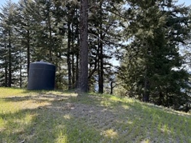 Escape to your own sanctuary on 330 acres of timberland (4.5MBF - photo 4