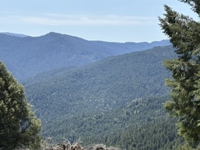 Escape to your own sanctuary on 330 acres of timberland (4.5MBF - photo 9