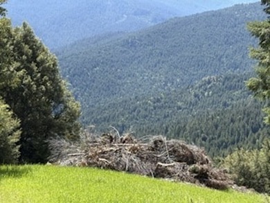 Escape to your own sanctuary on 330 acres of timberland (4.5MBF - photo 10