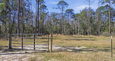 Take a look at this 1/2-acre lot just 2 minutes from the Keaton - photo 3