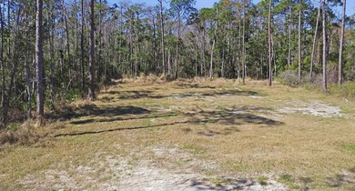 Take a look at this 1/2-acre lot just 2 minutes from the Keaton - photo 4