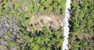 Take a look at this 1/2-acre lot just 2 minutes from the Keaton - photo 8