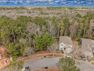 Prime corner lot in LaGrange Landing in the heart of Freeport! - photo 1