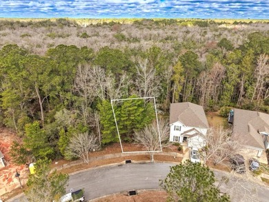 Prime corner lot in LaGrange Landing in the heart of Freeport! - photo 3