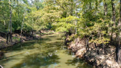WATERFRONT - Big Cypress River - 1.15 Acres - photo 19