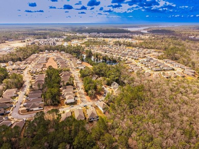 Prime corner lot in LaGrange Landing in the heart of Freeport! - photo 7