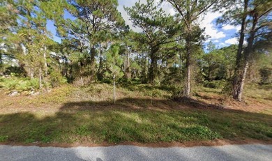Discover the potential of this rare buildable parcel in central - photo 5
