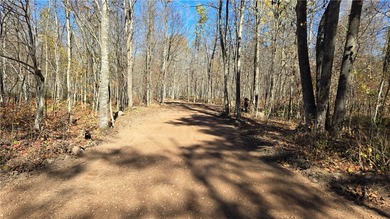 Lake Lot For Sale in Exeland, Wisconsin