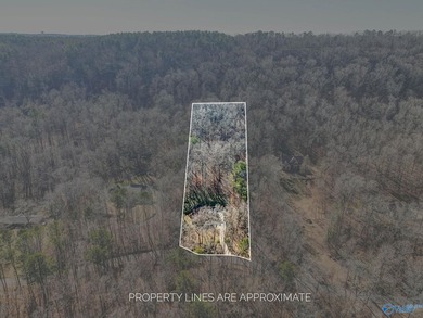 Tucked into the trees on Wyeth Drive in Guntersville, this - photo 45
