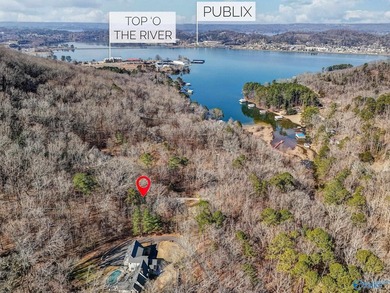 Tucked into the trees on Wyeth Drive in Guntersville, this - photo 46