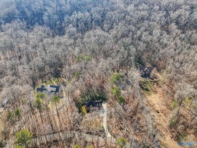 Tucked into the trees on Wyeth Drive in Guntersville, this - photo 47