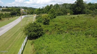 2 adjoining lots...one HOA fee if you build using both lots - Lake Lot Sale Pending in Rockwood, Tennessee