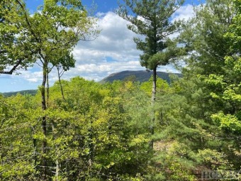 Lake Toxaway Lot For Sale in Lake Toxaway North Carolina