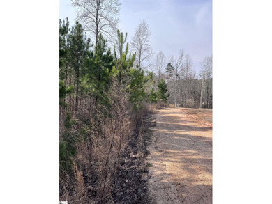 Enjoy lake living in a beautiful community on Lake Hartwell - photo 15