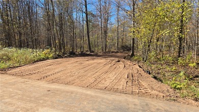 Lake Lot For Sale in Exeland, Wisconsin