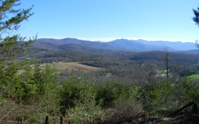 THE VIEW IS UNBEATABLE!! This lot offers panoramic mountain and - Lake Lot For Sale in Young Harris, Georgia
