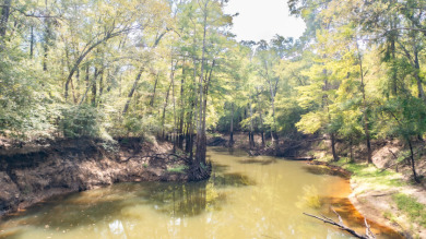 WATERFRONT - Big Cypress River - 1.15 Acres - photo 12