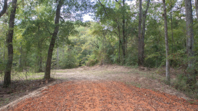 WATERFRONT - Big Cypress River - 1.15 Acres - photo 8