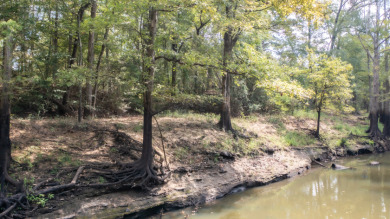 WATERFRONT - Big Cypress River - 1.15 Acres - photo 10