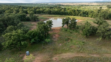 (private lake, pond, coastal) Home For Sale in Jacksboro Texas
