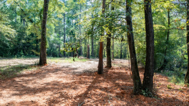 WATERFRONT - Big Cypress River - 1.15 Acres - photo 15