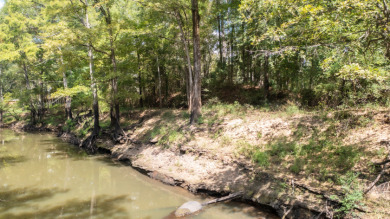 WATERFRONT - Big Cypress River - 1.15 Acres - photo 5