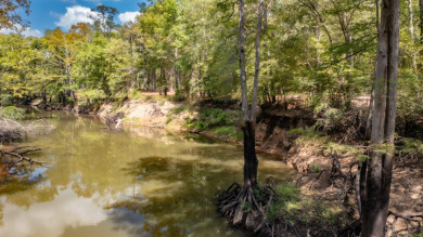 WATERFRONT - Big Cypress River - 1.15 Acres - photo 17