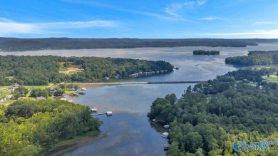 Lake Guntersville Commercial For Sale in Scottsboro Alabama