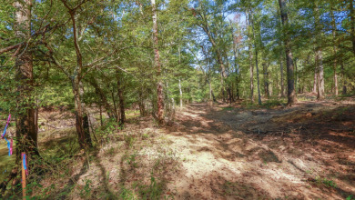 WATERFRONT - Big Cypress River - 1.15 Acres - photo 29