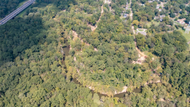 WATERFRONT - Big Cypress River - 1.15 Acres - photo 23