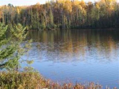 Headflyer Lake Acreage For Sale in Lac  Du  Flambeau Wisconsin
