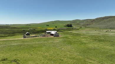 Irrigated Pasture with Half Mile of HWY 89 Frontage Near Bear - photo 14