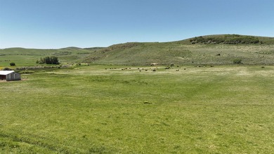 Irrigated Pasture with Half Mile of HWY 89 Frontage Near Bear - photo 15