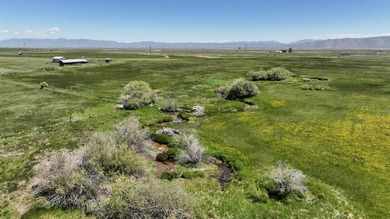 Irrigated Pasture with Half Mile of HWY 89 Frontage Near Bear - photo 17