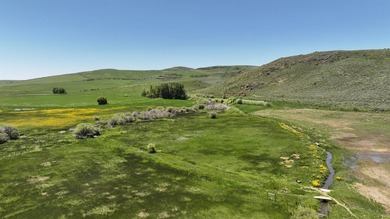Irrigated Pasture with Half Mile of HWY 89 Frontage Near Bear - photo 18
