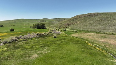 Irrigated Pasture with Half Mile of HWY 89 Frontage Near Bear - photo 19