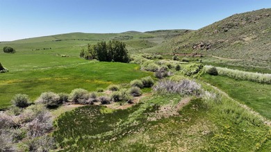 Irrigated Pasture with Half Mile of HWY 89 Frontage Near Bear - photo 20