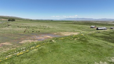 Irrigated Pasture with Half Mile of HWY 89 Frontage Near Bear - photo 21