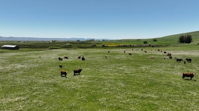 Irrigated Pasture with Half Mile of HWY 89 Frontage Near Bear - photo 22