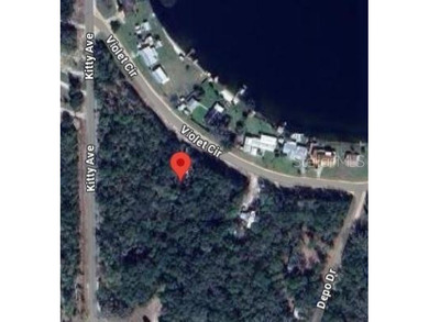 Interlachen lot with great potential for building or long-term - photo 2