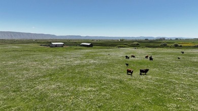 Irrigated Pasture with Half Mile of HWY 89 Frontage Near Bear - photo 23